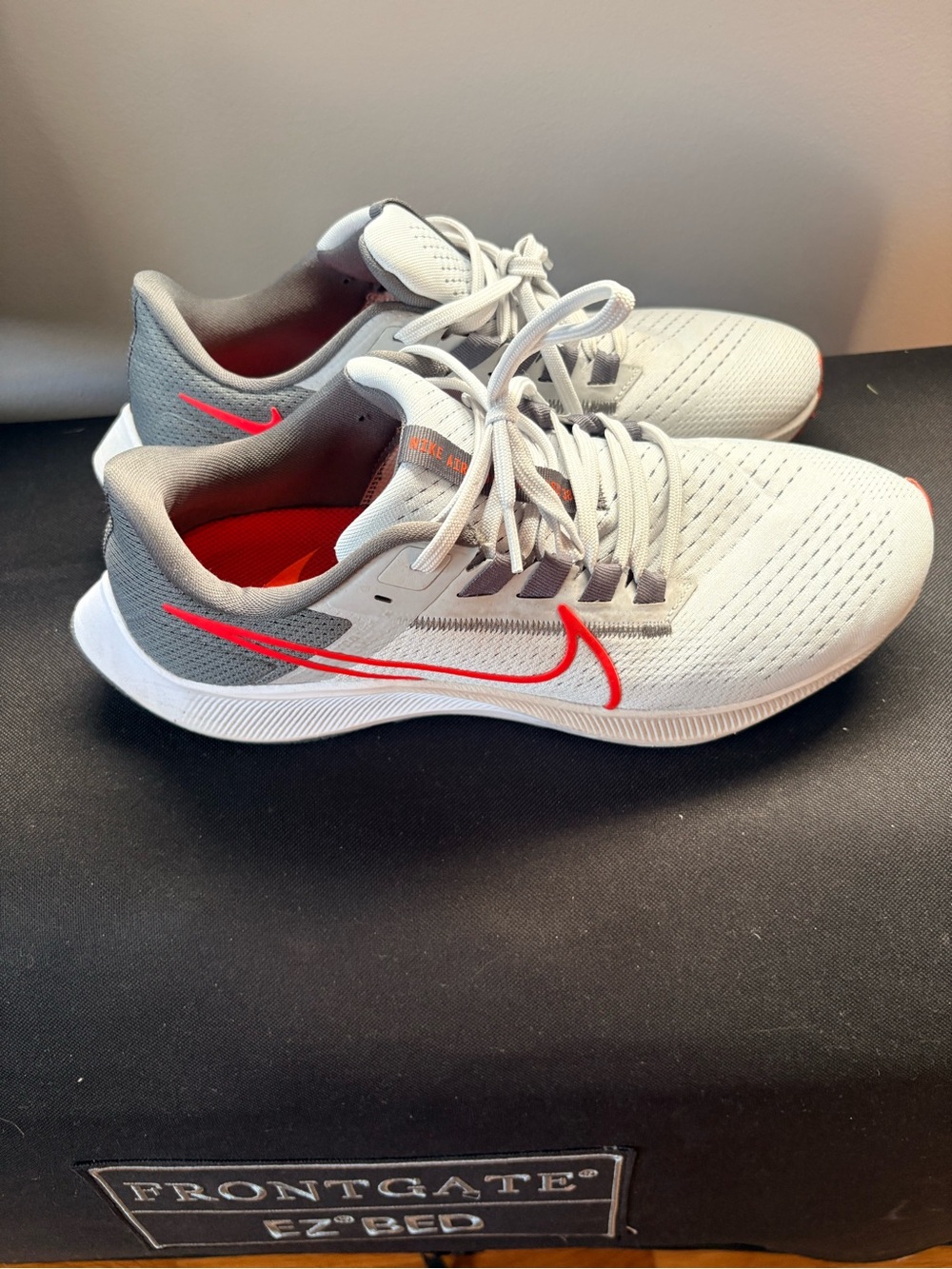 Nike Pegasus 38